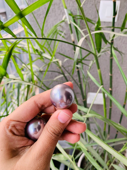 Big Size Pearl Studs