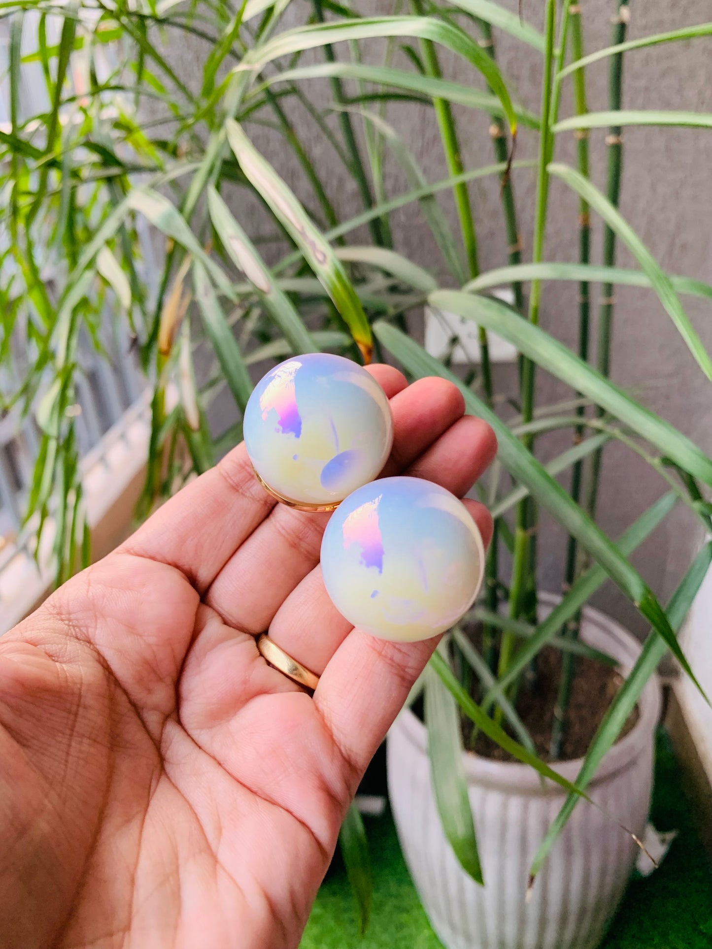 Jumbo Pearl Studs