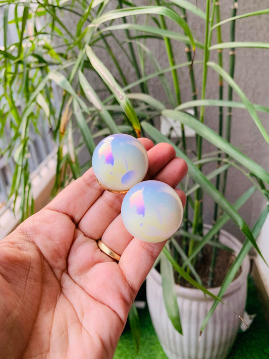 Jumbo Pearl Studs
