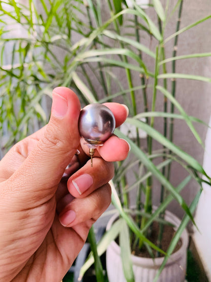 Full Round Pearl Studs