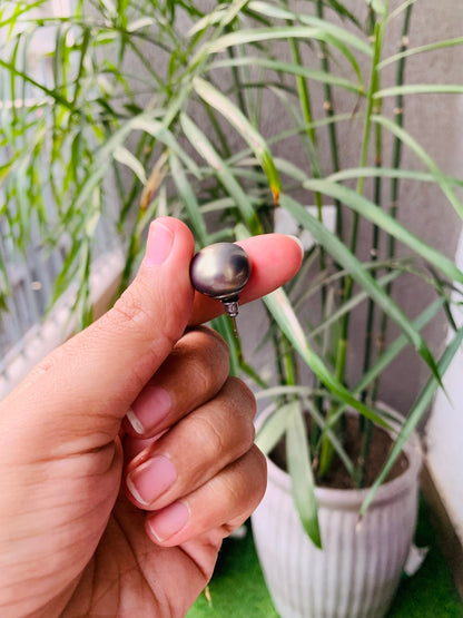 Matt Round Pearl Studs